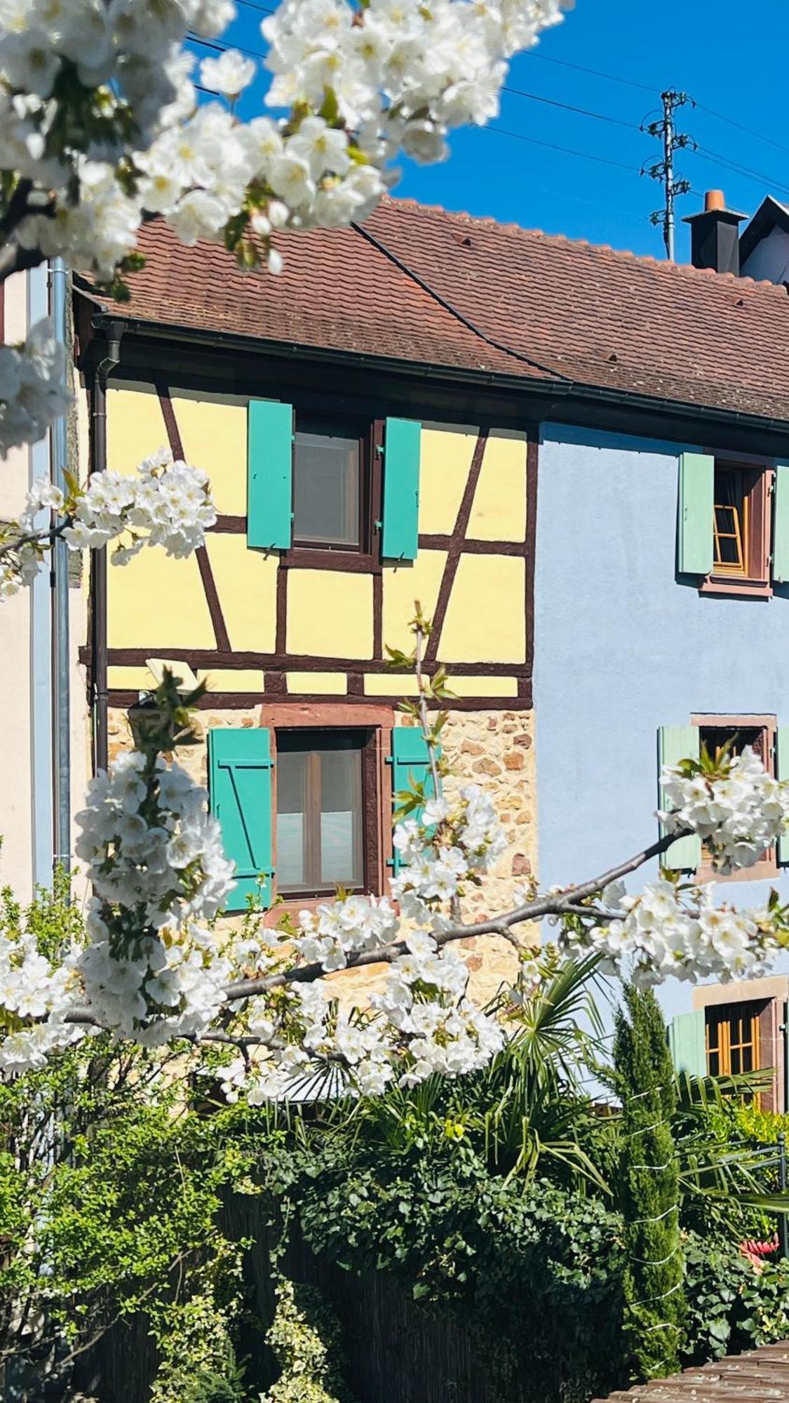 Gite Le Coq Rouge Eguisheim Kültér fotó
