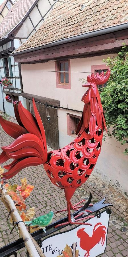 Gite Le Coq Rouge Eguisheim Kültér fotó